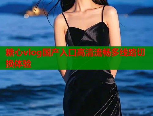 糖心vlog国产入口高清流畅多线路切换体验  第1张
